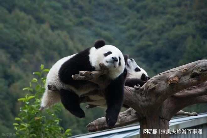 沟精品小包团大概费用强烈推荐四川旅游5天4晚纯玩团九寨(图2) 沟精品小包团大概费用强烈推荐四川旅游5天4晚纯玩团九寨(图2)